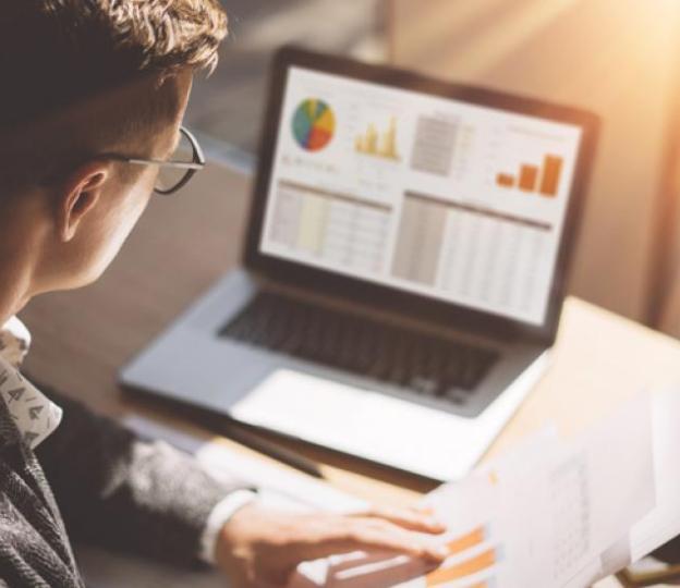 Person looking at laptop and reports