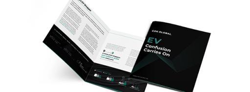 EV Confusion Carries On